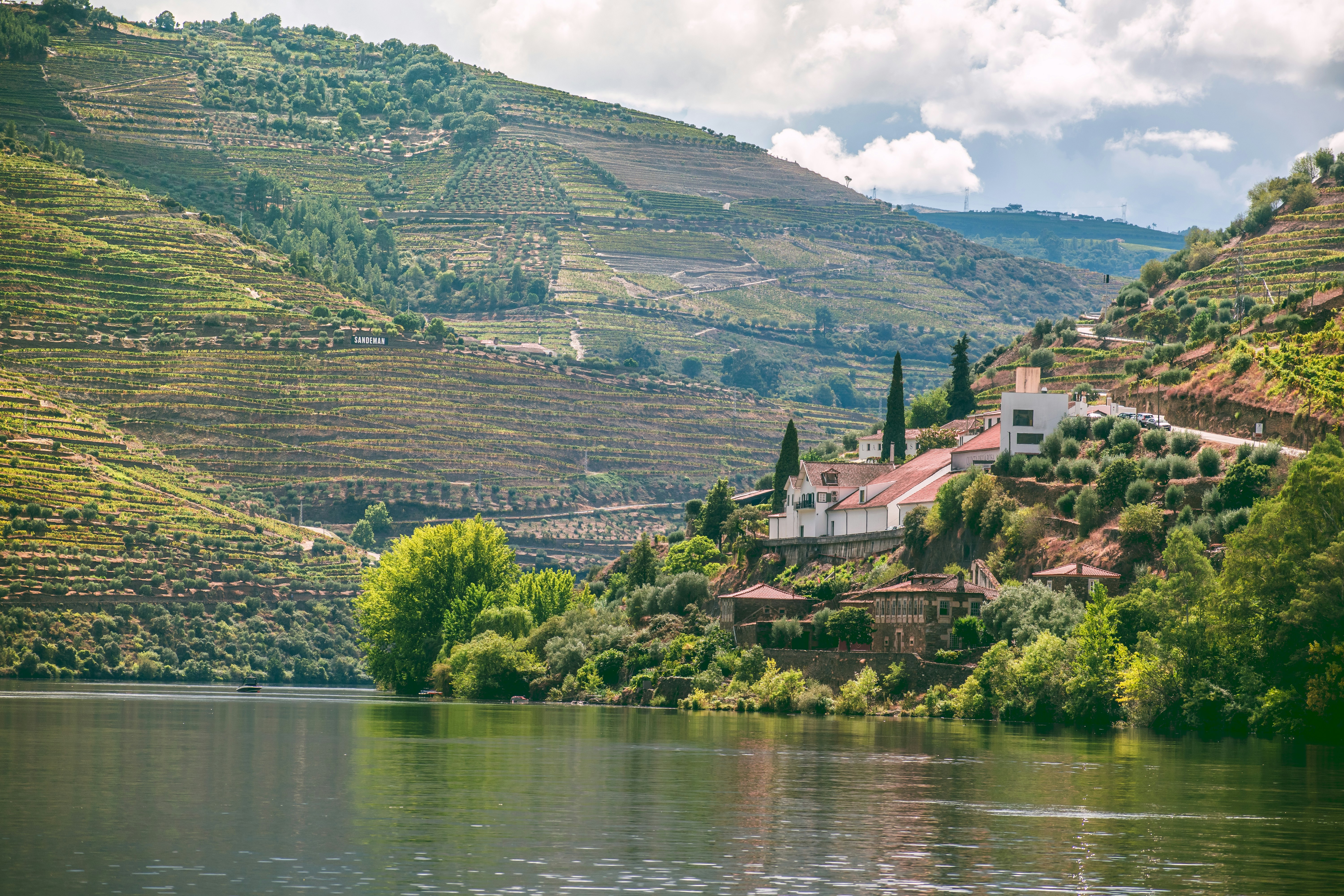Portugisiske vinmarker langs Douro-floden med terrasserede skrænter